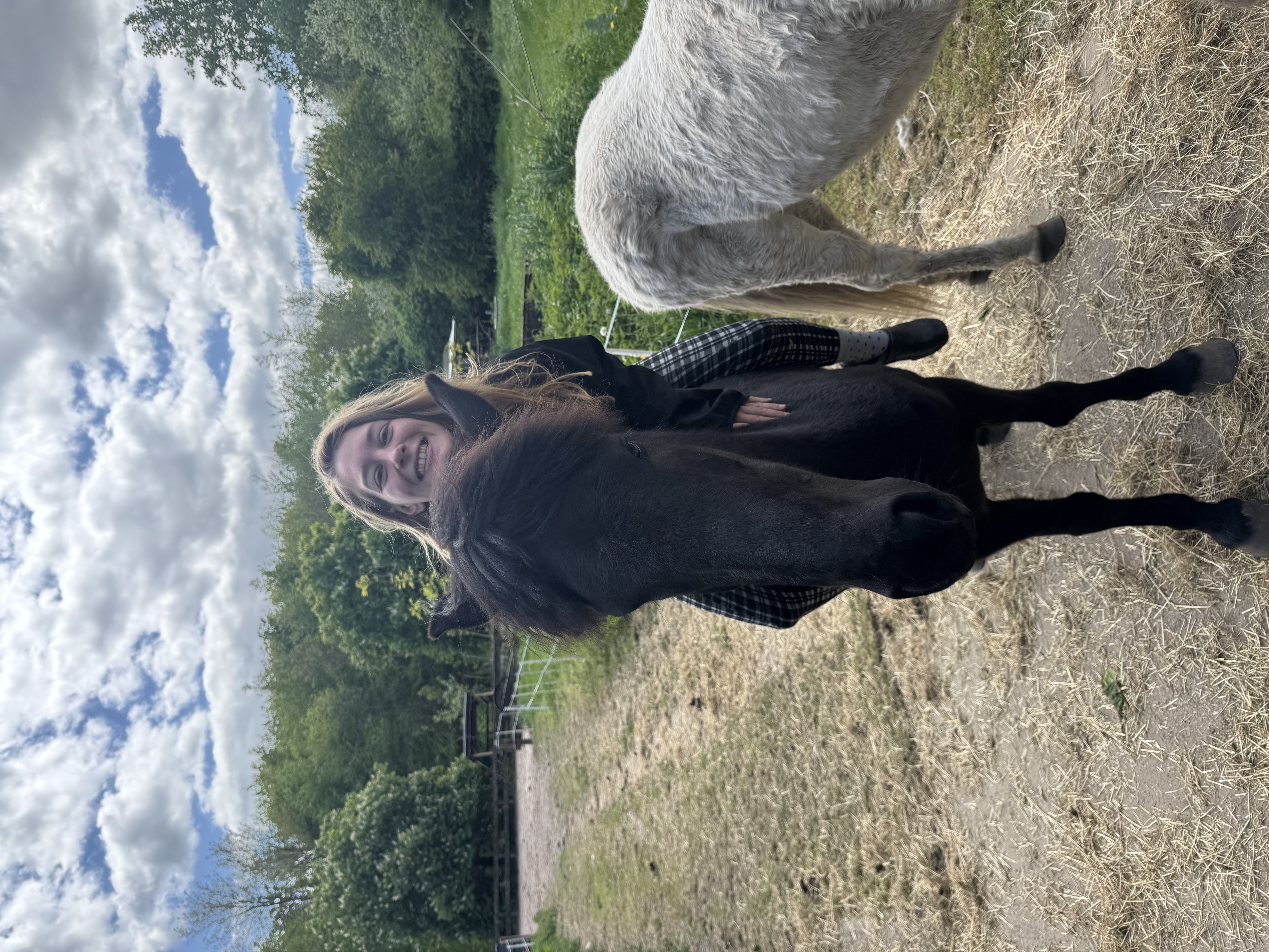 Ons eerste paard